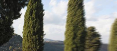 Mercedes-Benz SL 350 (2007) - picture 7 of 16