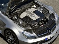 Mercedes-Benz SL 65 AMG Black Series (2009)