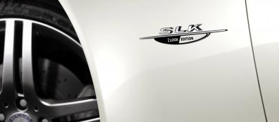 Mercedes-Benz SLK 2LOOK Edition (2009) - picture 7 of 10