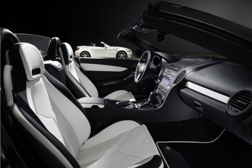 Mercedes-Benz SLK 2LOOK Edition (2009) - picture 9 of 10