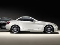 Mercedes-Benz SLK 2LOOK Edition (2009) - picture 3 of 10