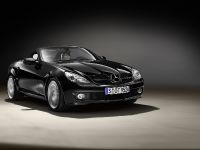 Mercedes-Benz SLK 2LOOK Edition (2009) - picture 4 of 10
