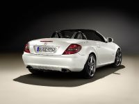 Mercedes-Benz SLK 2LOOK Edition (2009) - picture 6 of 10