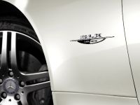 Mercedes-Benz SLK 2LOOK Edition (2009) - picture 7 of 10