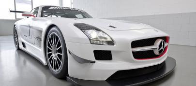 Mercedes-Benz SLS AMG GT3 (2010) - picture 12 of 16