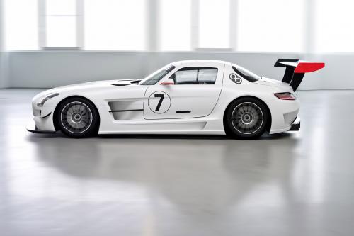 Mercedes-Benz SLS AMG GT3 (2010) - picture 16 of 16