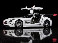 Mercedes-Benz SLS AMG GT3 (2010) - picture 6 of 16