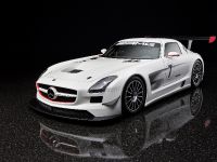 Mercedes-Benz SLS AMG GT3 (2010) - picture 1 of 16