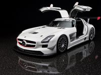 Mercedes-Benz SLS AMG GT3 (2010) - picture 5 of 16