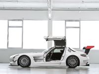 Mercedes-Benz SLS AMG GT3 (2010) - picture 8 of 16