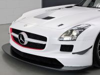 Mercedes-Benz SLS AMG GT3 (2010) - picture 11 of 16