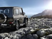Mercedes G-Class BA3 Final Edition (2011) - picture 2 of 2