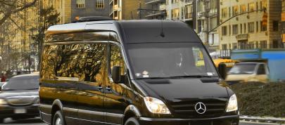 Mercedes Sprinter Brilliant Van (2011) - picture 7 of 14
