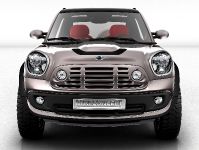 MINI Beachcomber Concept (2010) - picture 1 of 17