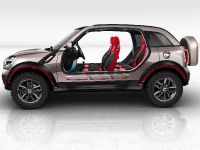 MINI Beachcomber Concept (2010) - picture 3 of 17