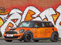 Mini Cooper S by Cam Shaft (2014) - picture 5 of 16