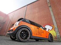 Mini Cooper S by Cam Shaft (2014) - picture 7 of 16