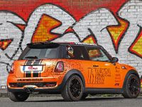 Mini Cooper S by Cam Shaft (2014) - picture 8 of 16