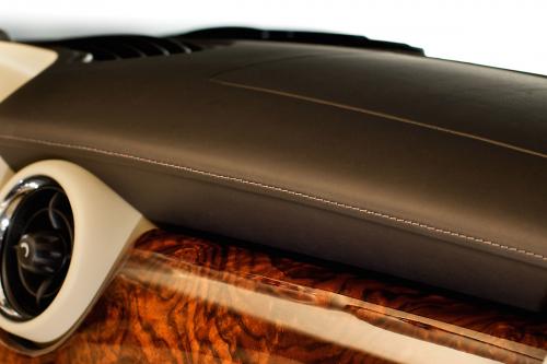 MINI INSPIRED BY GOODWOOD (2011) - picture 9 of 20