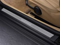 MINI INSPIRED BY GOODWOOD (2011) - picture 11 of 20