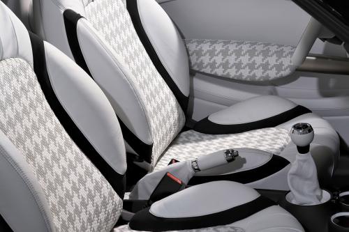 MINI Roadster Concept (2009) - picture 17 of 19