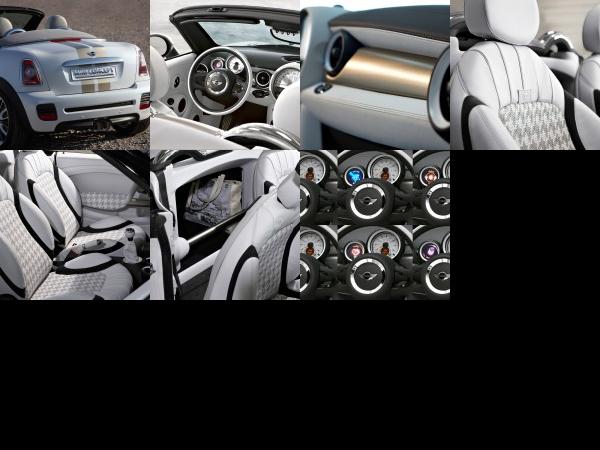 MINI Roadster Concept (2009) - picture 13 of 19
