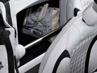 MINI Roadster Concept (2009) - picture 18 of 19