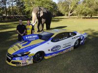 Mopar Dodge Dart Pro Stock NHRA Gatornationals Car (2014) - picture 7 of 10