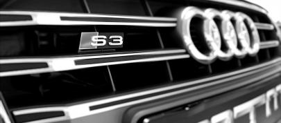 MTM Audi S3 2.0 TFSI quattro (2014) - picture 12 of 20