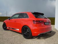 MTM Audi S3 2.0 TFSI quattro (2014)