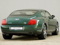 mtm Bentley Continental GT Birkin Edition (2009) - picture 2 of 6