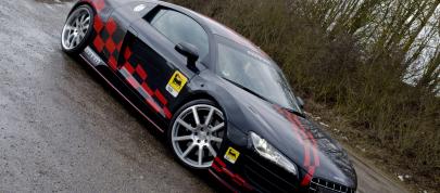 MTM Audi R8 GT3-2 (2010) - picture 4 of 8