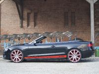 MTM Audi S5 Cabrio Michelle Edition (2009) - picture 8 of 12