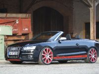 MTM Audi S5 Cabrio Michelle Edition (2009) - picture 7 of 12