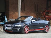 MTM Audi S5 Cabrio Michelle Edition (2009) - picture 10 of 12
