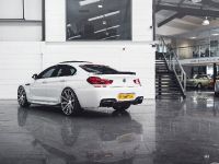 Mulgari BMW 6-Series Gran Coupe SV 640d (2014) - picture 3 of 12