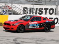 Ford Mustang 1000 Lap Challenge (2010) - picture 6 of 9