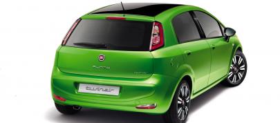 MY Fiat Punto (2012) - picture 12 of 15