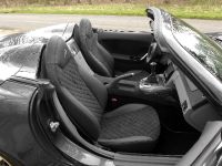 Breckland Beira (2008) - picture 5 of 6