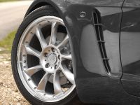 Breckland Beira (2008) - picture 6 of 6