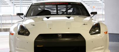 Nissan GT-R  FIA GT1 (2010) - picture 4 of 13