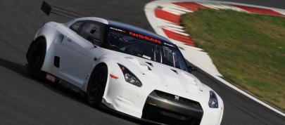 Nissan GT-R  FIA GT1 (2010) - picture 12 of 13