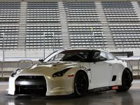 Nissan GT-R  FIA GT1 (2010)