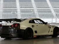 Nissan GT-R  FIA GT1 (2010) - picture 2 of 13