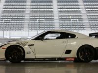 Nissan GT-R  FIA GT1 (2010) - picture 3 of 13