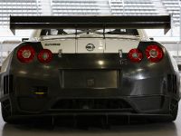 Nissan GT-R  FIA GT1 (2010) - picture 5 of 13