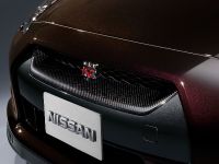 Nissan GT-R SpecV (2010) - picture 5 of 19