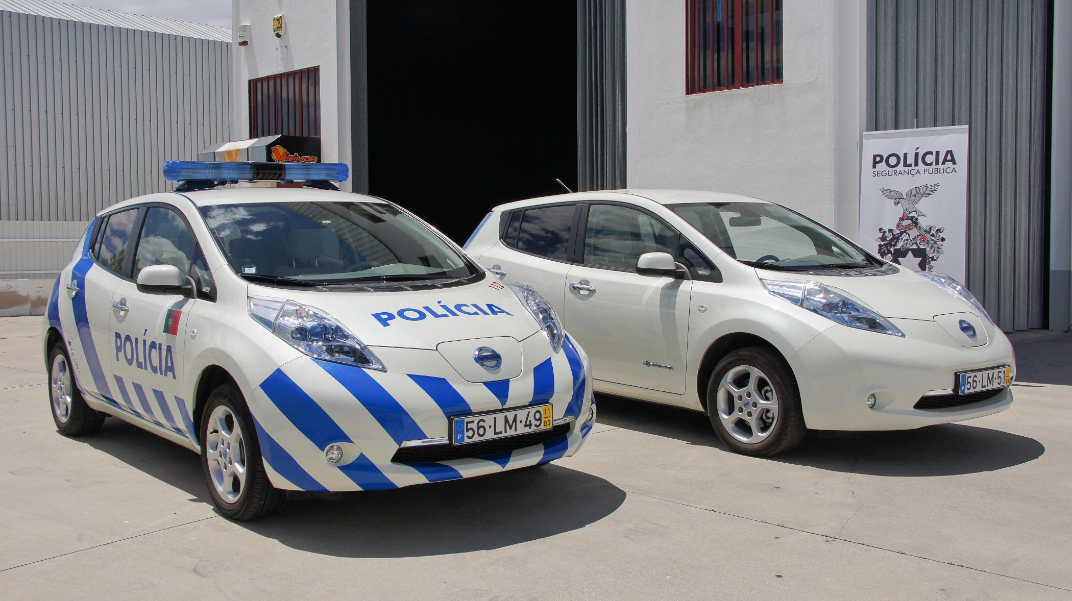 Nissan Leaf Blue Light