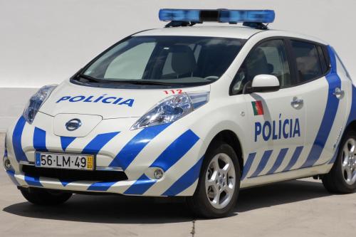 Nissan Leaf Blue Light (2012) - picture 1 of 5