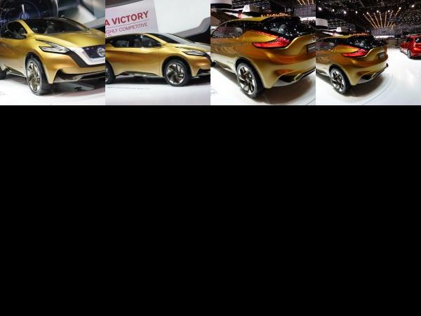 Geneva Nissan Resonance Geneva 2013 (2013) - picture 1 of 4